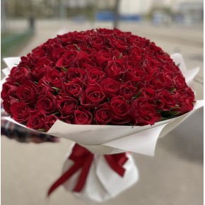 Букет червоних троянд 101 шт. 40 см