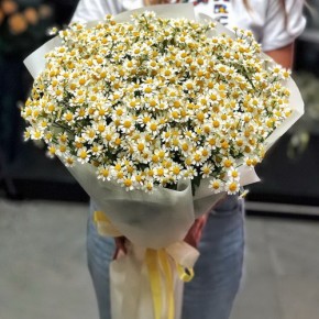 Букет ромашок Літня ніжність